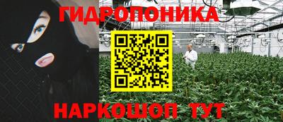 крисы Ипатово