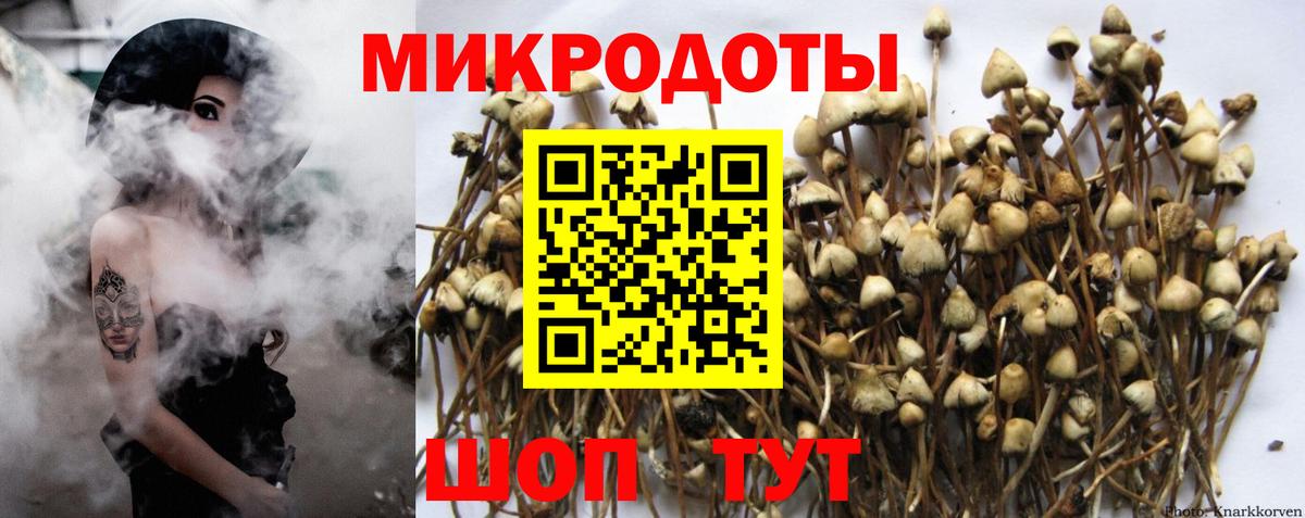 Псилоцибиновые грибы GOLDEN TEACHER  Вход с VPN  Псилоцибиновые грибы Magic Shrooms  Кохма 