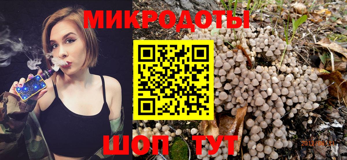 Галлюциногенные грибы мицелий Кохма